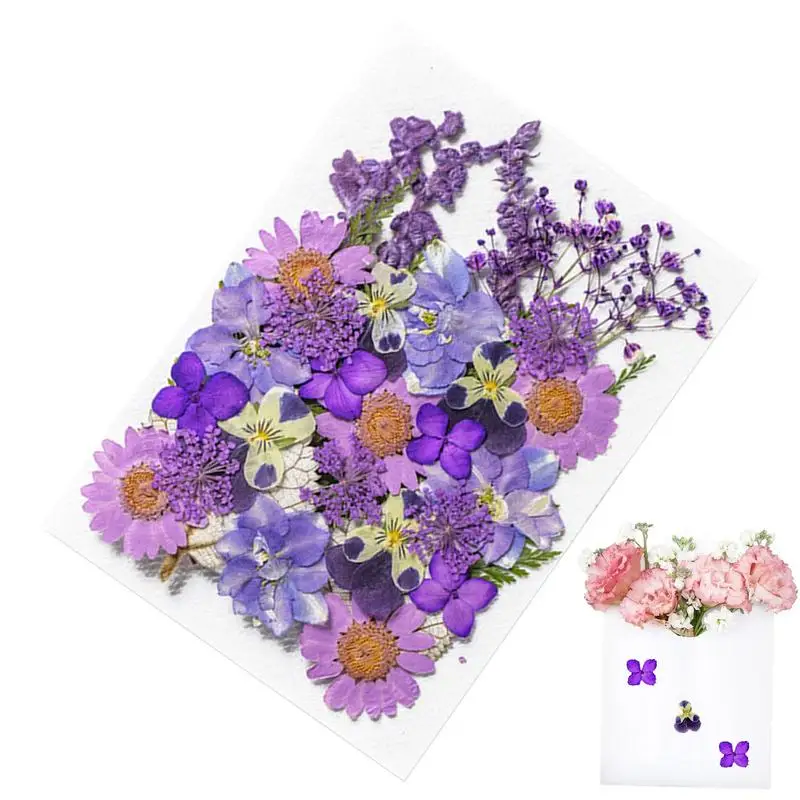 35Pcs1Bag Dried Flowers Pressed Flowers Stickers For DIY Phone Case Epoxy Resin Filling Pendant Jewelry Making Crafts Nail Art
35Pcs1Bag Dried Flowers Pressed Flowers Stickers For DIY Phone Case Epoxy Resin Filling Pendant Jewelry Making Crafts Nail Art