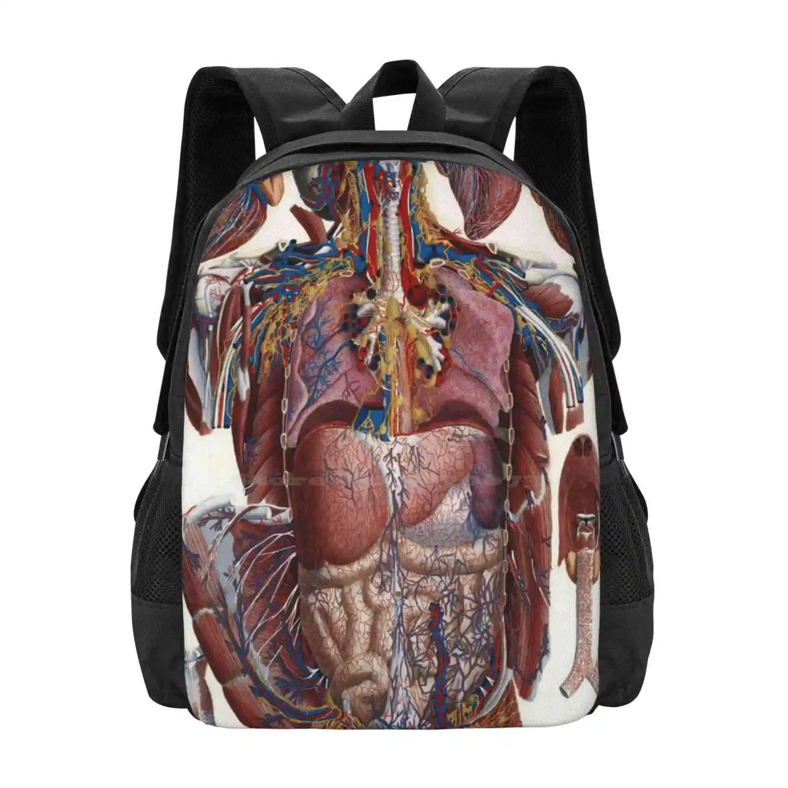 Paolo Mascagni Illustration Of Human Viscera School Bags For Teenage Girls Laptop Travel Bags Paolo Mascagni Thorax Biology
Paolo Mascagni Illustration Of Human Viscera School Bags For Teenage Girls Laptop Travel Bags Paolo Mascagni Thorax Biology