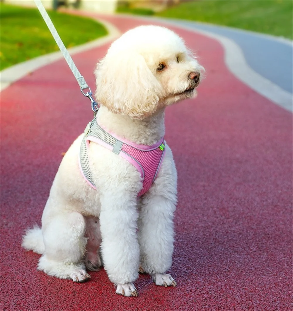 Pet Dog Harness Vest With Leash For Small Dog Adjustable Chest Strap Dog Cat Collars Outdoor Walking Lead Leashes Harness
Pet Dog Harness Vest With Leash For Small Dog Adjustable Chest Strap Dog Cat Collars Outdoor Walking Lead Leashes Harness