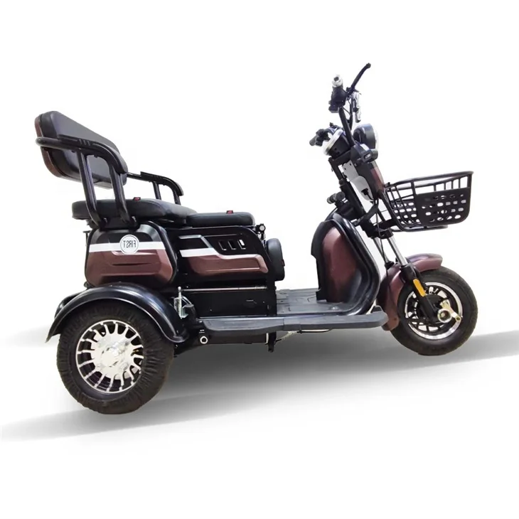 

Hot Sale Good Quality Center Differential Split Triciclo Electric Tricycle For Elder Use