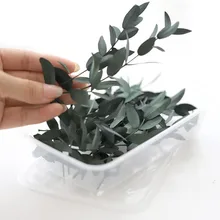 Plant Gift Nature Preserved Eucalyptus Leaves Resin Molds,Mini Dried Flower Bouquet,Dried Flower for Candles Crafts DIY Material