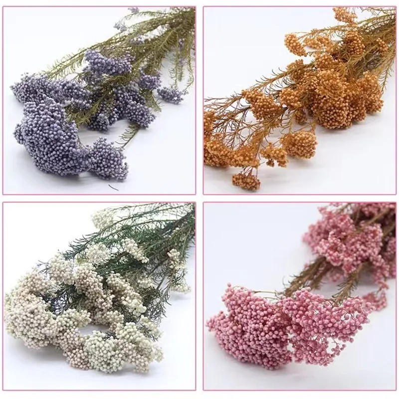 50g Natural Millet Fruit Dried Artificial Plants For Home Decor Boho Home Decor Artificial Flowers Free Shipping Bridal Wedding
50g Natural Millet Fruit Dried Artificial Plants For Home Decor Boho Home Decor Artificial Flowers Free Shipping Bridal Wedding