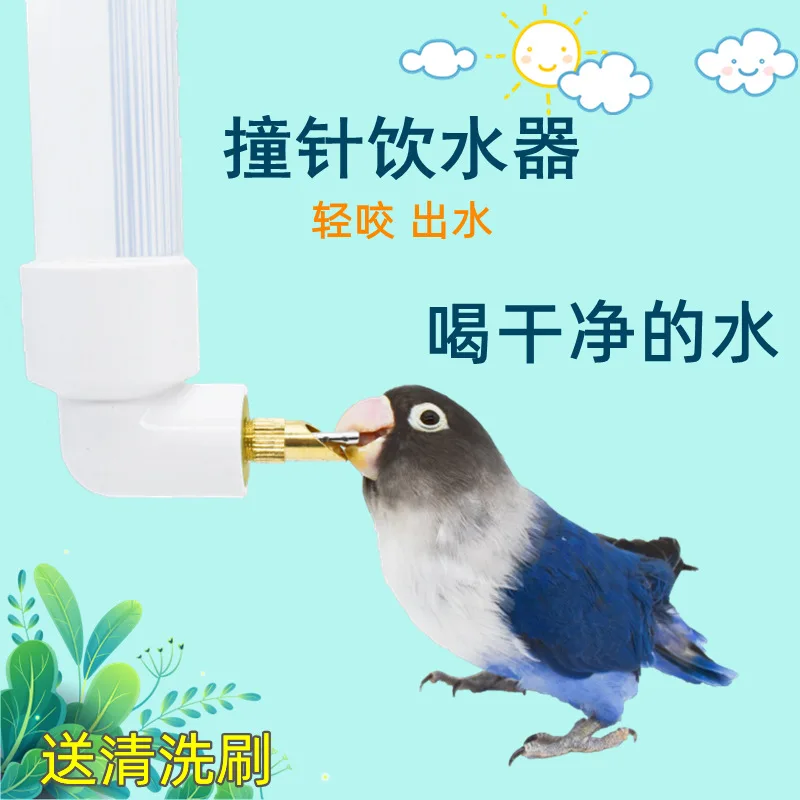 

130ML Parrot Drinking Kettle Large Automatic Water Feeder Pet Chinchilla Rabbit Water Cup Outdoor Cage Birds Accessoires