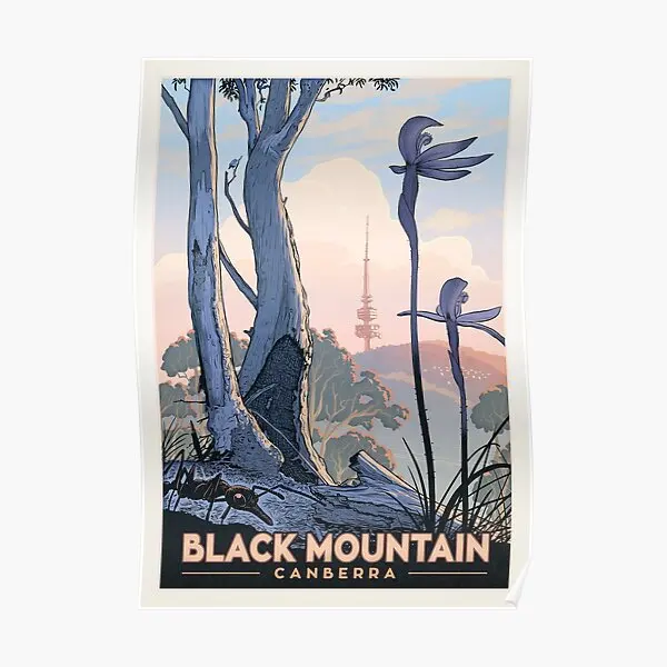 Черная гора Природный резерв муравьи и Плакат Картина Настенная комната забавное винтажное украшение Настенная современная домашняя карт...
Черная гора Природный резерв муравьи и Плакат Картина Настенная комната забавное винтажное украшение Настенная современная домашняя карт...