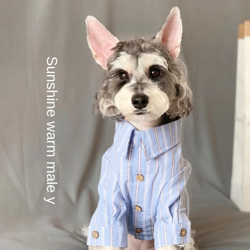 Spring and Autumn Clothes Teddy Schnauzer Satsuma Small, Medium and Large Dog and Cat Clothes Blouses
Spring and Autumn Clothes Teddy Schnauzer Satsuma Small, Medium and Large Dog and Cat Clothes Blouses
