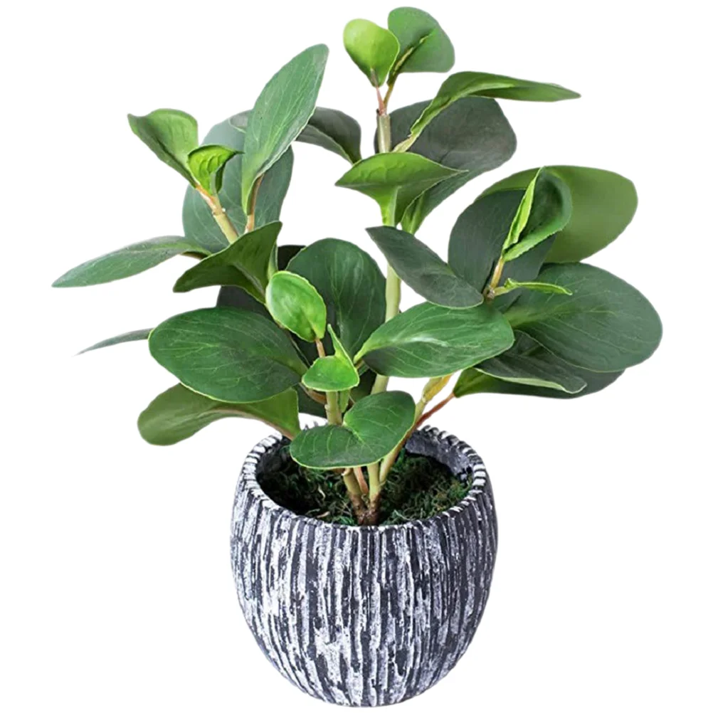 Fauxdecor Greenerypotssucculents Desk Aesthetic Tabletop Houseplants Decorative Artificial Desktop Fake Mini Bonsai Simulated 
Fauxdecor Greenerypotssucculents Desk Aesthetic Tabletop Houseplants Decorative Artificial Desktop Fake Mini Bonsai Simulated