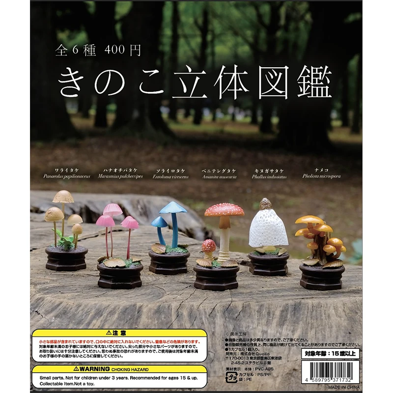 Japan Twisted Egg Simulation Three-dimensional Mushroom Illustration Ornament Mushroom Model ACTION FIGURE TOYS
Japan Twisted Egg Simulation Three-dimensional Mushroom Illustration Ornament Mushroom Model ACTION FIGURE TOYS
