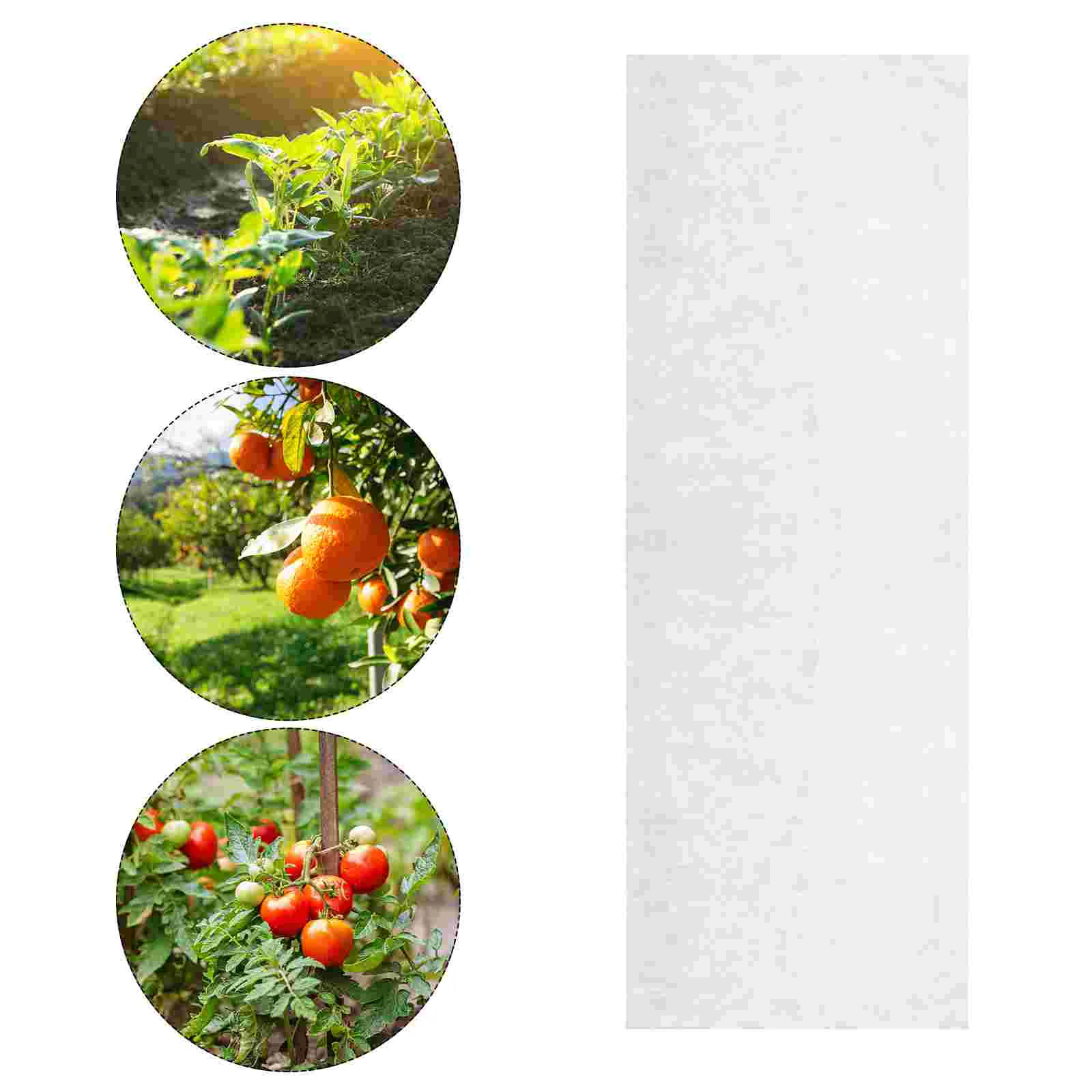 1pc Cover Prime Durable Useful Gardening Accessories Garden Protector for Garden Flower Home
1pc Cover Prime Durable Useful Gardening Accessories Garden Protector for Garden Flower Home