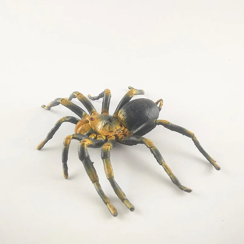 Animal Model Simulation Insect 15cm Tarantula Toy Figures Poisonous Spider Ornaments Collection Funny Gift
Animal Model Simulation Insect 15cm Tarantula Toy Figures Poisonous Spider Ornaments Collection Funny Gift