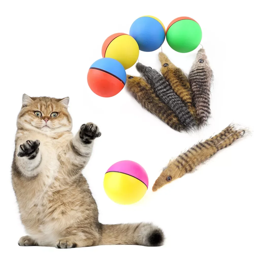 Dog Cat Beaver Weasel Puppy Rolling Play Random Alive New Pet Ferret toy Toy Jump Ball Moving Chaser Weasel Mice & Animal To
Dog Cat Beaver Weasel Puppy Rolling Play Random Alive New Pet Ferret toy Toy Jump Ball Moving Chaser Weasel Mice & Animal To