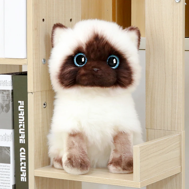 

Kawaii 20/26CM Simulation Siamese Cat Plush Toy Blue Sequins Eyes Dolls Brown and White Face Cats Home Decor Cute Gift for Baby