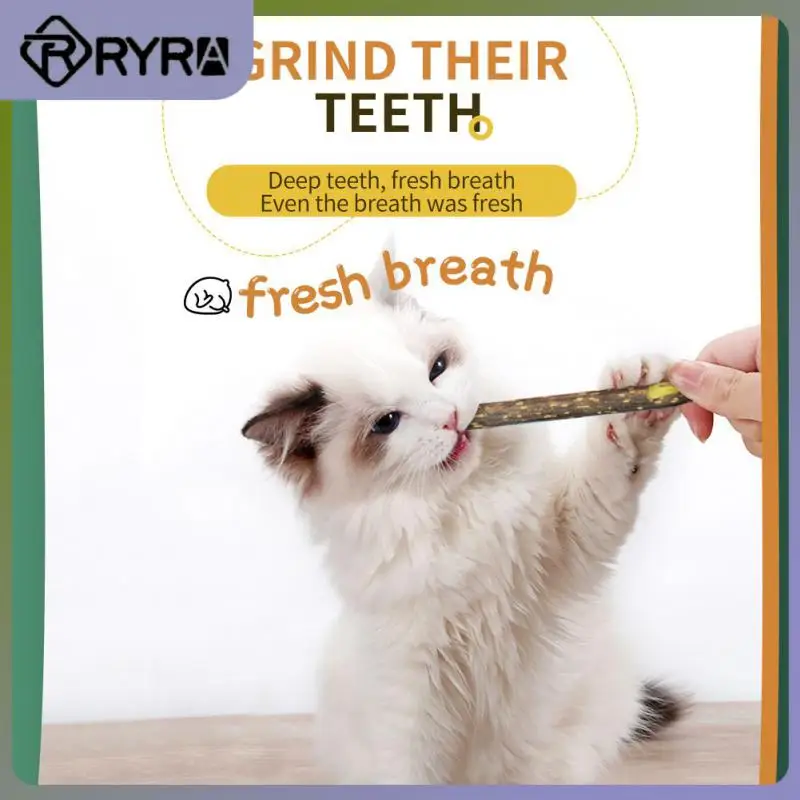 

2/4/5PCS Healthy Cat Toy Improve Appetite No Additives Cat Snacks Sticks Natural Plants Clean Teeth Pet Supplies Toys Green