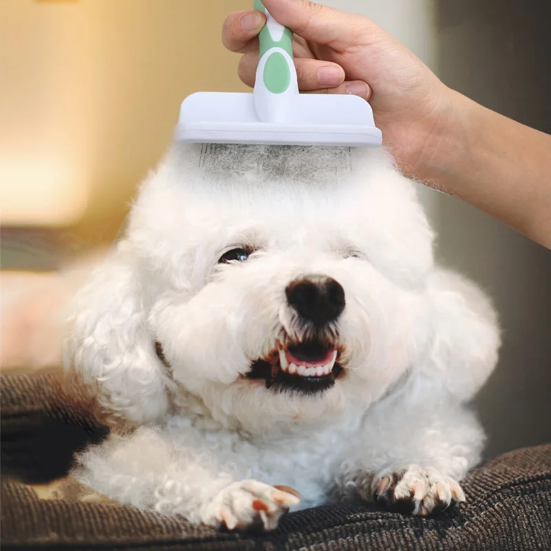 Pet fluffy hair comb Pet Hair Remover Brush For Dogs Cats Grooming Tools Pets Dematting Comb Dogs Accessories
Pet fluffy hair comb Pet Hair Remover Brush For Dogs Cats Grooming Tools Pets Dematting Comb Dogs Accessories