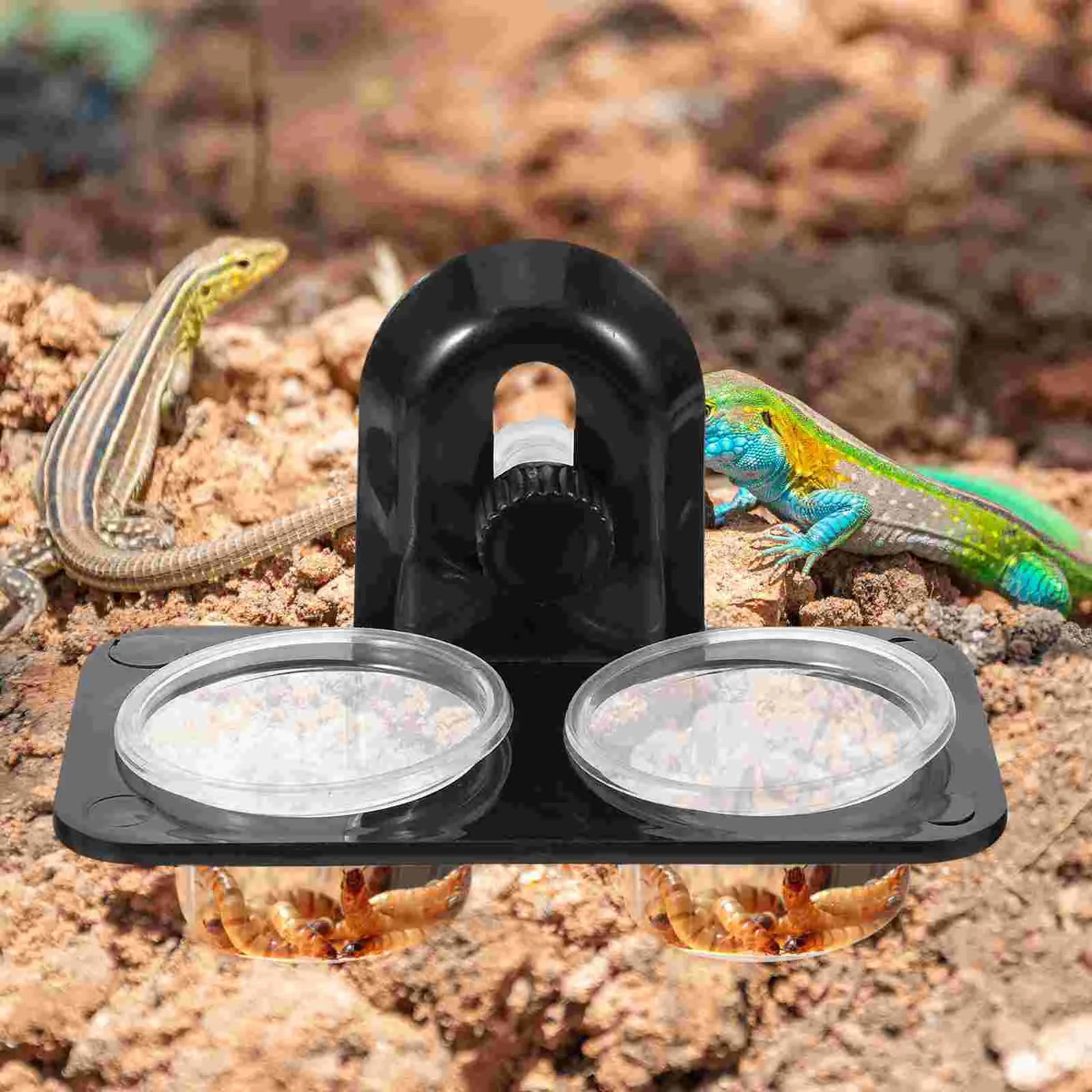 POPETPOP Reptile Feeder Screw Water and Bowl for Reptiles Lizard Turtle Gecko Water Feeding ( Black )
POPETPOP Reptile Feeder Screw Water and Bowl for Reptiles Lizard Turtle Gecko Water Feeding ( Black )