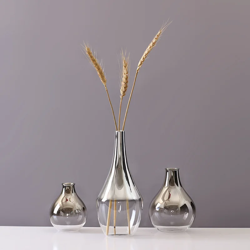 Modern Minimalist Silver Glass Vase Dried Flower Flower Arrangement Nordic Home Living Room Table Decoration Ornaments
Modern Minimalist Silver Glass Vase Dried Flower Flower Arrangement Nordic Home Living Room Table Decoration Ornaments