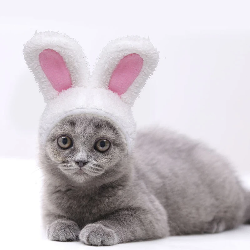 New Funny Pet Dog Cat Cap Costume Warm Rabbit Hat New Year Party Christmas Cosplay Accessories Photo Props Headwear
New Funny Pet Dog Cat Cap Costume Warm Rabbit Hat New Year Party Christmas Cosplay Accessories Photo Props Headwear