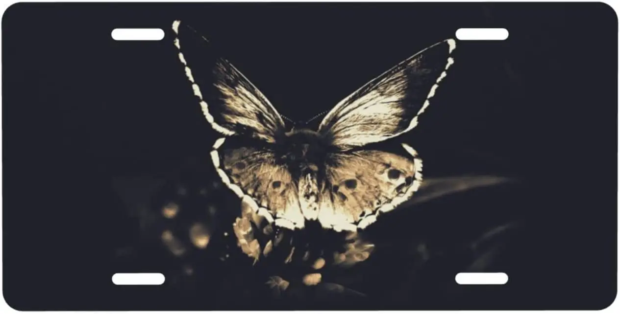 Personalized License Plate,Butterfly Wing Aluminum License Plate for Car Easy Mounting Indoor/Outdoor 6 X 12 Inch
Personalized License Plate,Butterfly Wing Aluminum License Plate for Car Easy Mounting Indoor/Outdoor 6 X 12 Inch