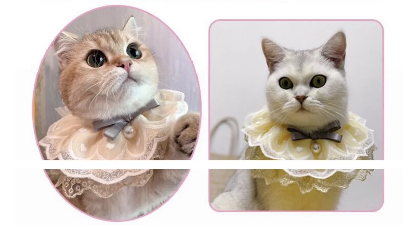 2022 New Cat Lace Lace Scarf Pearl Pendant Bib Ins Style Photo Cute Scarf Size Adjustable
2022 New Cat Lace Lace Scarf Pearl Pendant Bib Ins Style Photo Cute Scarf Size Adjustable