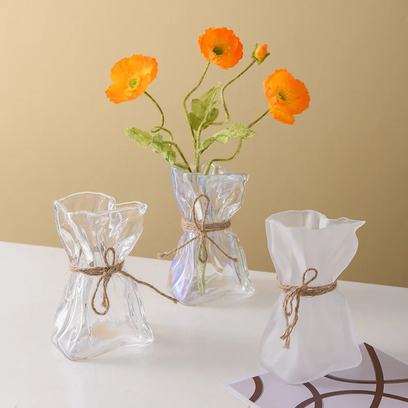 Nordic Style Glass Vase 2022 Creative Irregular Transparent Hydroponic Vase Home Decoration Ornaments
Nordic Style Glass Vase 2022 Creative Irregular Transparent Hydroponic Vase Home Decoration Ornaments