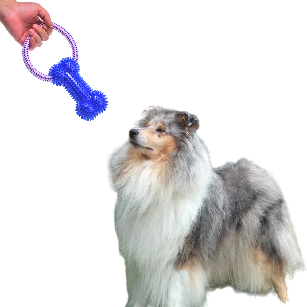 3pcs Bite Resistant Soft Gum Bone Chewing Toys for Teeth Cleaning, General for Large and Small Dogs, Pet Supplies Training Props
3pcs Bite Resistant Soft Gum Bone Chewing Toys for Teeth Cleaning, General for Large and Small Dogs, Pet Supplies Training Props