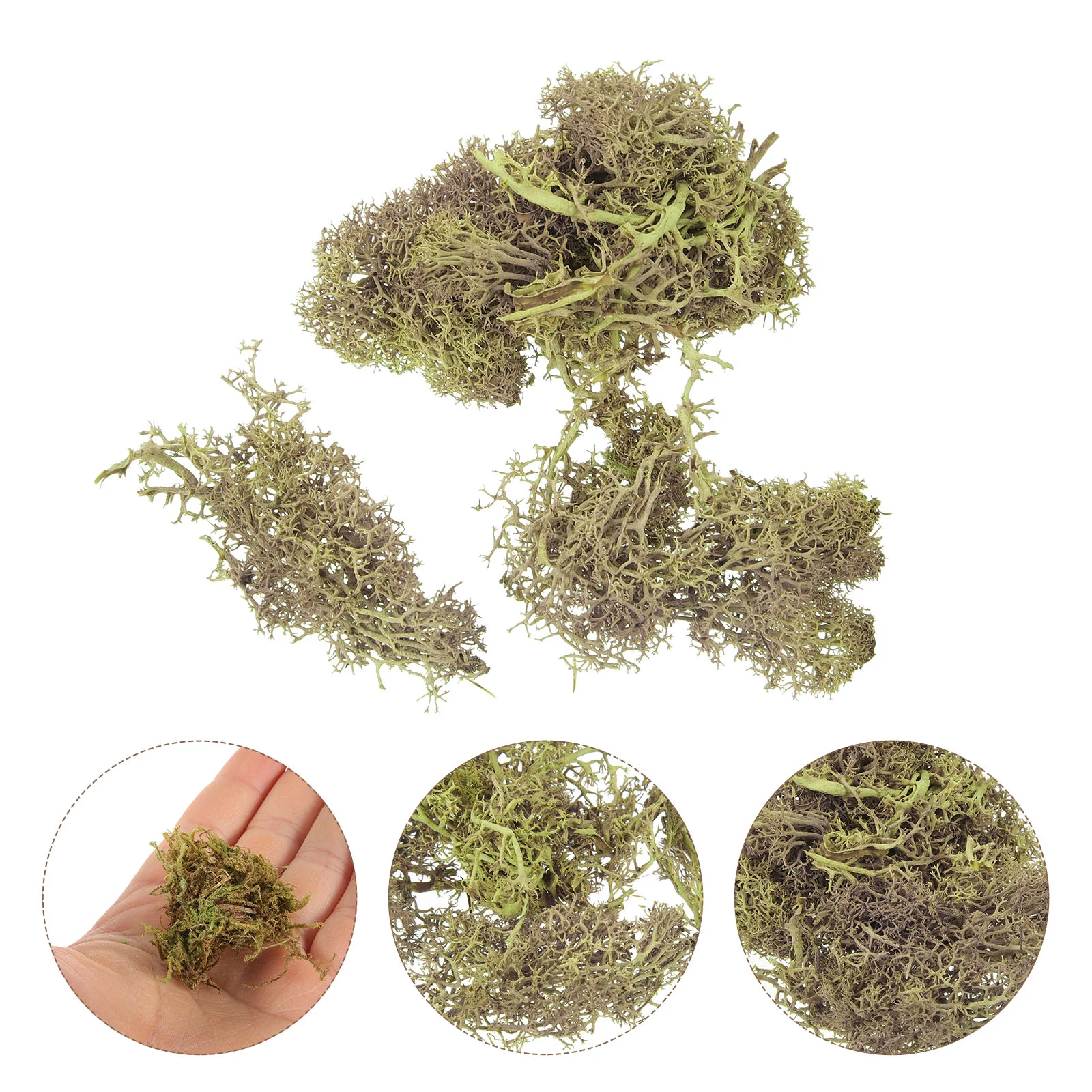 Moss Model Potted Plants Preserved Flower Landscaping Decor Plastic Artificial Planters Crafts Ornament
Moss Model Potted Plants Preserved Flower Landscaping Decor Plastic Artificial Planters Crafts Ornament