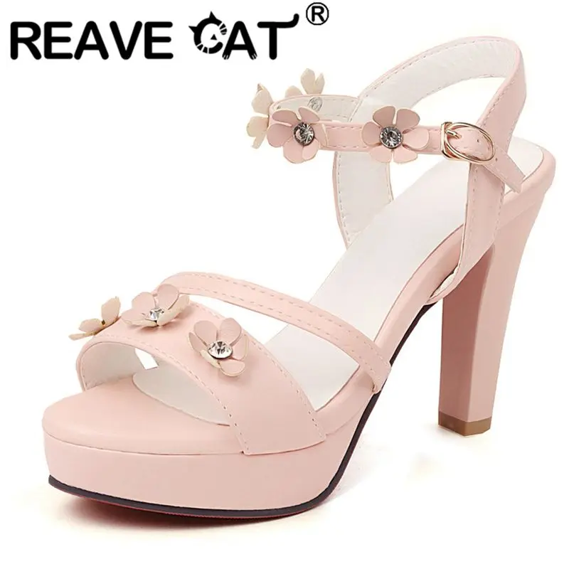 Женские босоножки на блочном каблуке REAVE CAT, однотонные повседневные сандалии с открытым носком и ремешком с пряжкой и цветочной аппликацие...
Женские босоножки на блочном каблуке REAVE CAT, однотонные повседневные сандалии с открытым носком и ремешком с пряжкой и цветочной аппликацие...