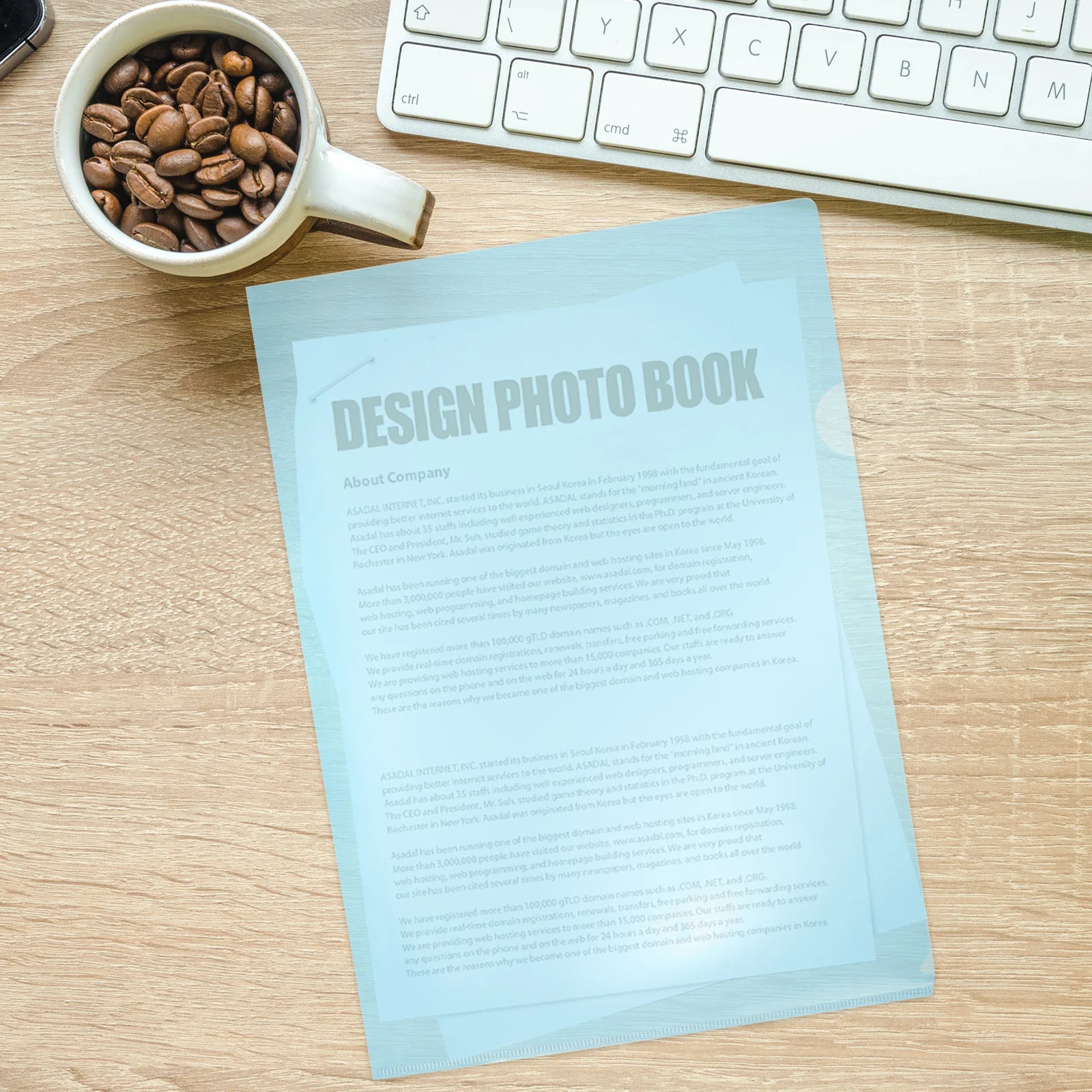 12 Pcs Single Piece Folder Colored Folders Plastic Clear Paper Holder Office Study
12 Pcs Single Piece Folder Colored Folders Plastic Clear Paper Holder Office Study