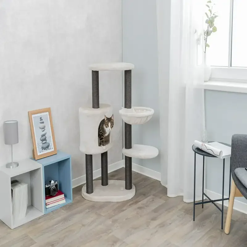 Cat accessories Cat toy Cat supplies Cat tunnel Terrarium heat lamps & mats Dino nuggets pillows Cat nip Cat toys Juguetes para 
Cat accessories Cat toy Cat supplies Cat tunnel Terrarium heat lamps & mats Dino nuggets pillows Cat nip Cat toys Juguetes para