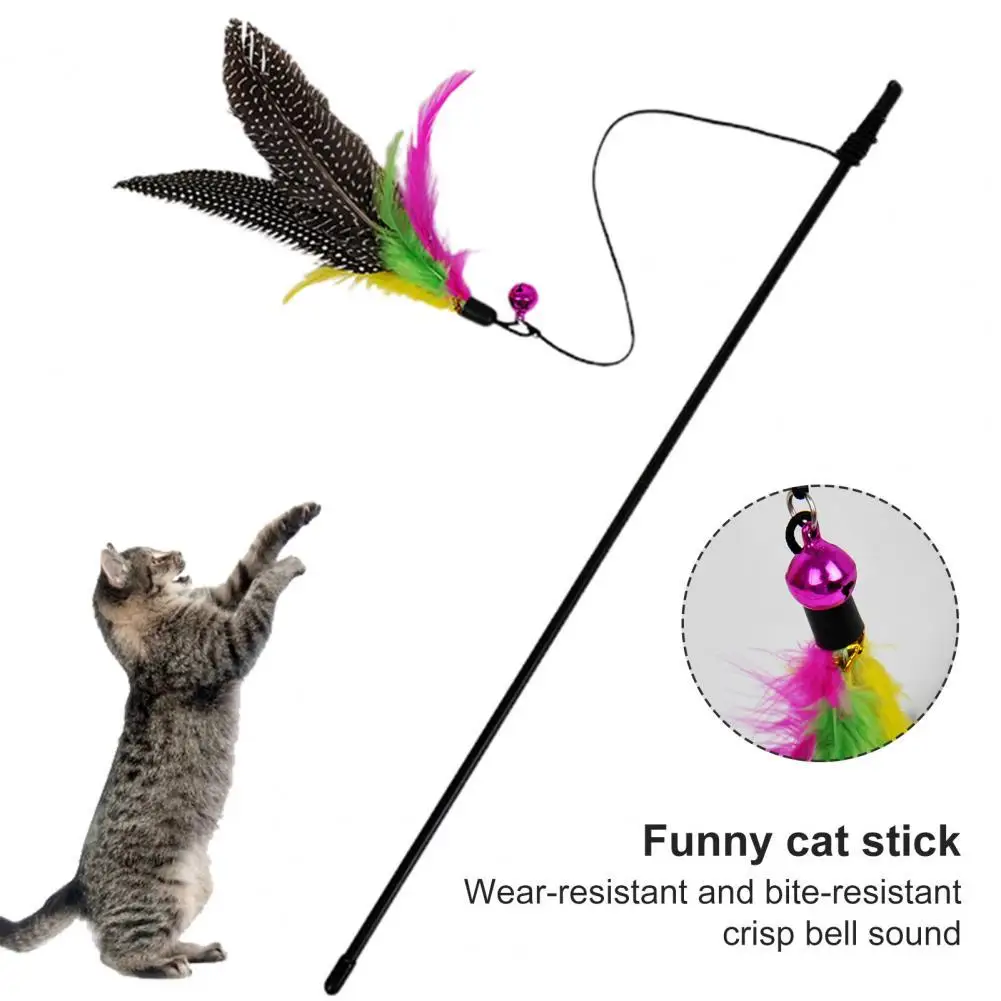 Lightweight Eco-Friendly Teaser Interactive Feather Rod Cat Toy Attractive Pet Wand Toy Multipurpose for Household
Lightweight Eco-Friendly Teaser Interactive Feather Rod Cat Toy Attractive Pet Wand Toy Multipurpose for Household
