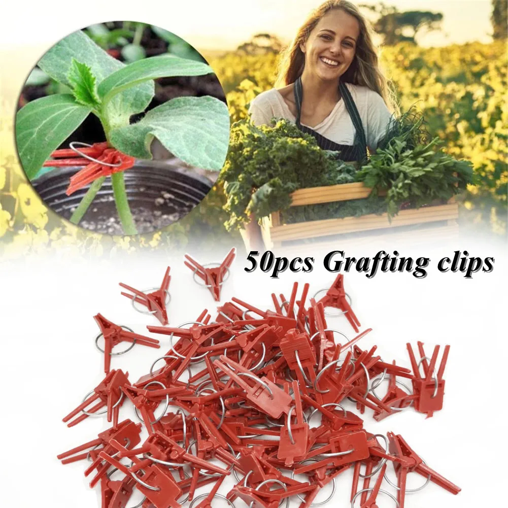 50 PCS Durable Flower Cages & Plant Support Vegetable Plastic Metal Reusable Grafting Clips Agriculture Tools Supports
50 PCS Durable Flower Cages & Plant Support Vegetable Plastic Metal Reusable Grafting Clips Agriculture Tools Supports