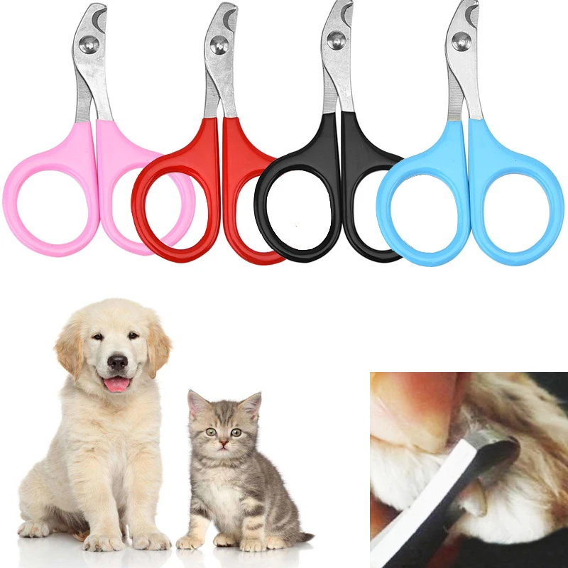 Multicolor Pet Dog Cat Nail Clipper Professional Cutter Stainless Steel Grooming Clippers Scissors for Puppy Dogs Cats Clipper
Multicolor Pet Dog Cat Nail Clipper Professional Cutter Stainless Steel Grooming Clippers Scissors for Puppy Dogs Cats Clipper