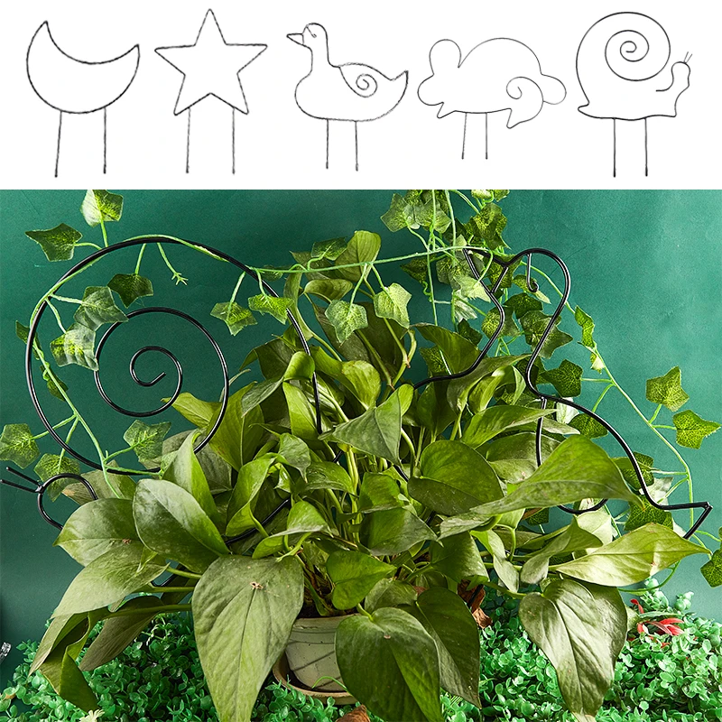DIY рамка для скалолазания растений, фоторамка для животных, стойка для поддержки растений, DIY горшечный кронштейн для садоводства, опорный с...
DIY рамка для скалолазания растений, фоторамка для животных, стойка для поддержки растений, DIY горшечный кронштейн для садоводства, опорный с...