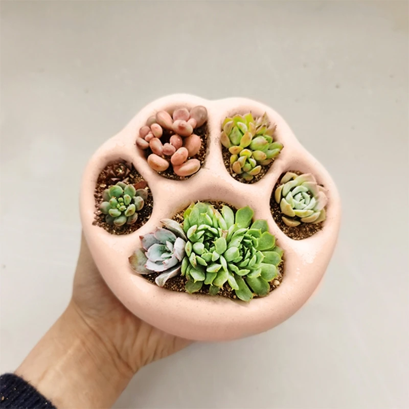 1Pc Claw Succulents Pot UV Crystal Epoxy Resin Mold Handmade Flower Pot Planter Silicone Mould DIY Clay Aroma Gypsum Crafts Soap
1Pc Claw Succulents Pot UV Crystal Epoxy Resin Mold Handmade Flower Pot Planter Silicone Mould DIY Clay Aroma Gypsum Crafts Soap