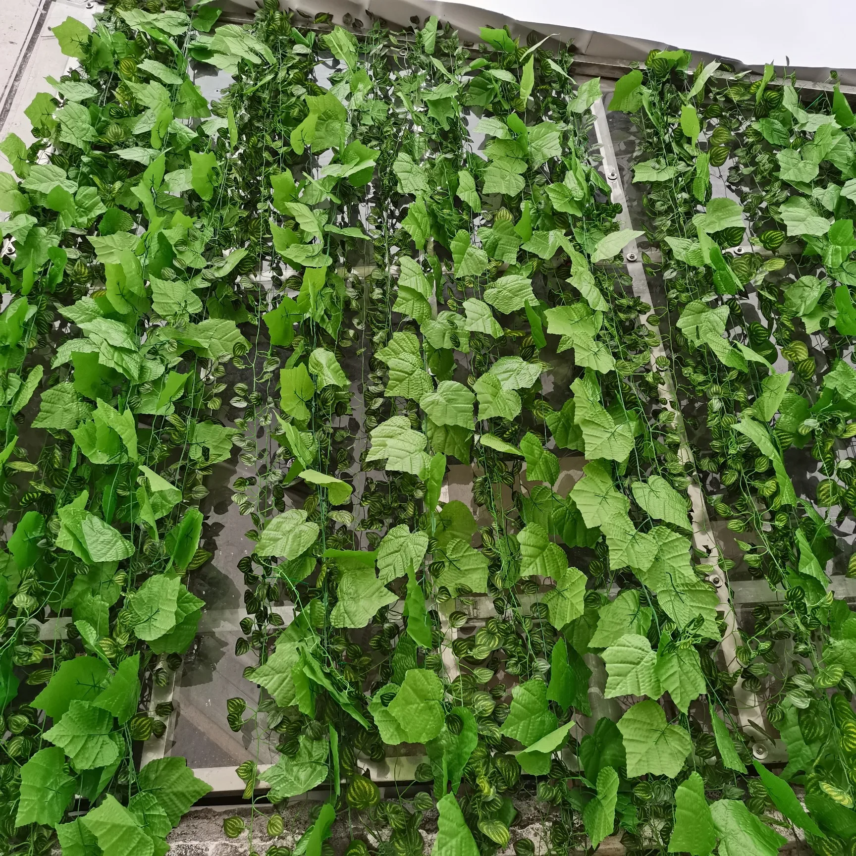240cm Leaf Vine Artificial Hanging Plants Liana Silk Fake Ivy Leaves For Wall Green Garland Decoration Home Decor Party Vine
240cm Leaf Vine Artificial Hanging Plants Liana Silk Fake Ivy Leaves For Wall Green Garland Decoration Home Decor Party Vine
