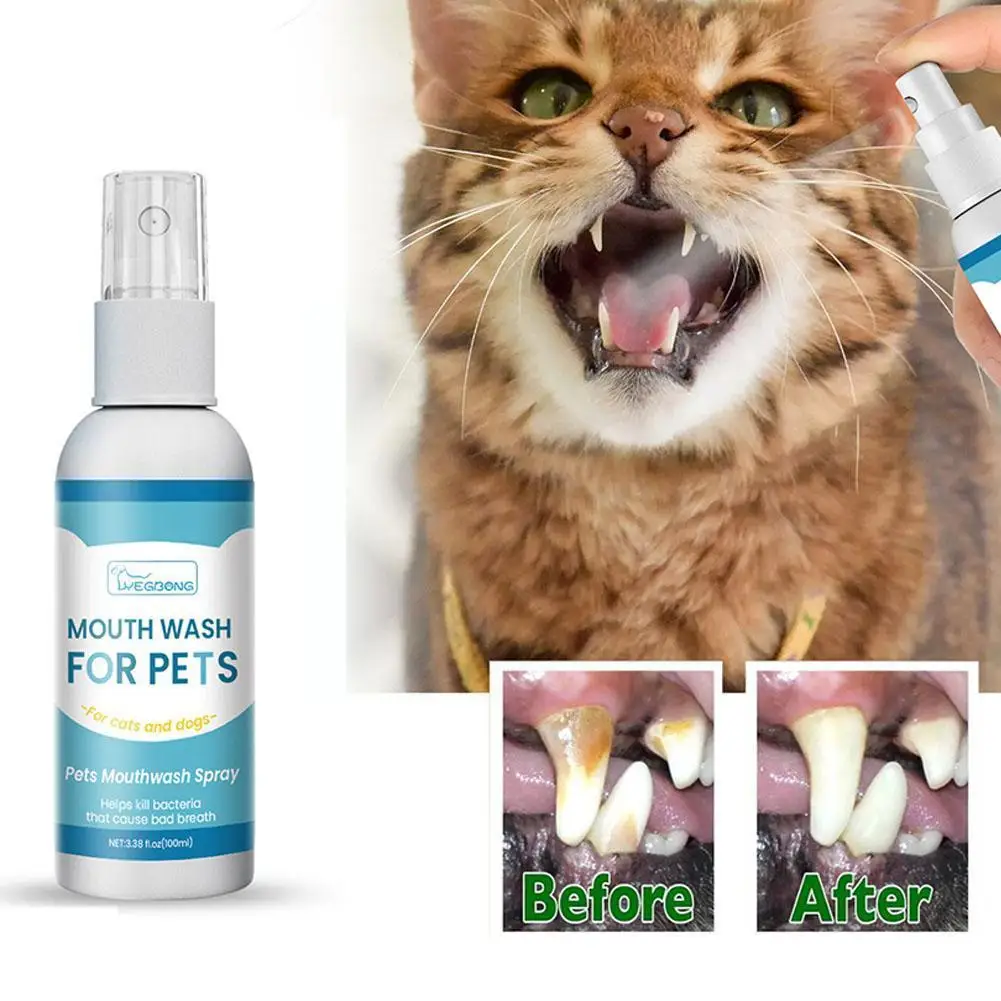 Non-toxic Teeth Cleaning Spray For Dog And Cat 100ml Pet Dental Spray For Eliminating Bad Breath And Prevent Oral Diseases F0D5
Non-toxic Teeth Cleaning Spray For Dog And Cat 100ml Pet Dental Spray For Eliminating Bad Breath And Prevent Oral Diseases F0D5