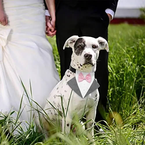 Dog Tuxedo Bandana Collar, Dog Tuxedo for Wedding Party Suit, Adjustable Dog Bow Tie Pet Bow Tie Formal Dog Bandana Neck Tie
Dog Tuxedo Bandana Collar, Dog Tuxedo for Wedding Party Suit, Adjustable Dog Bow Tie Pet Bow Tie Formal Dog Bandana Neck Tie