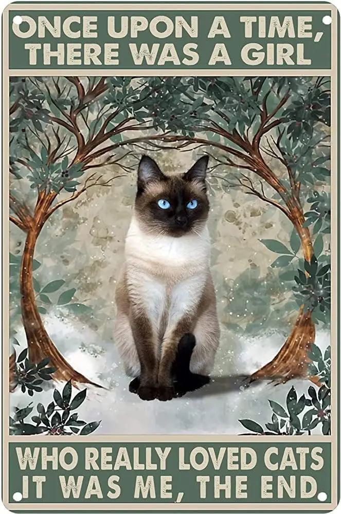 Постер с изображением девушки однажды, художественный декор, кошки в винтажном ретро-стиле, металлический жестяной знак, паб, бар, мужская пещера, украшение для клуба 6x8 дюймов
Постер с изображением девушки однажды, художественный декор, кошки в винтажном ретро-стиле, металлический жестяной знак, паб, бар, мужская пещера, украшение для клуба 6x8 дюймов