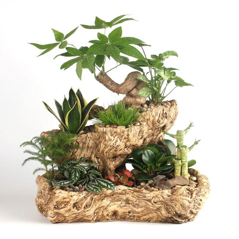 Resin Flowerpot Resin Succulent Combination Flowerpot Garden Balcony Simple Personality Furnishings Home decor Accessories
Resin Flowerpot Resin Succulent Combination Flowerpot Garden Balcony Simple Personality Furnishings Home decor Accessories