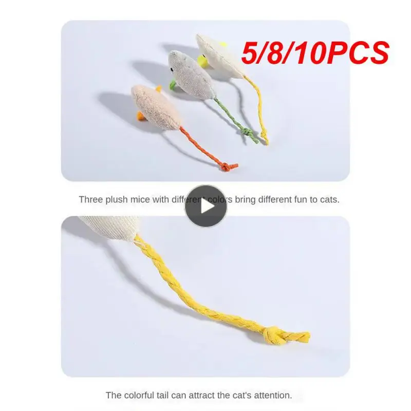 5/8/10PCS Creative Simulation Mouse Interactive Universal Kitten Toy Cute Modeling Cat Scratch Pet Accessories New Plush Mouse
5/8/10PCS Creative Simulation Mouse Interactive Universal Kitten Toy Cute Modeling Cat Scratch Pet Accessories New Plush Mouse