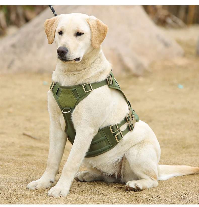 New dog outdoor chest strap traction rope medium and large dog chest strap military police dog tactical training vest
New dog outdoor chest strap traction rope medium and large dog chest strap military police dog tactical training vest