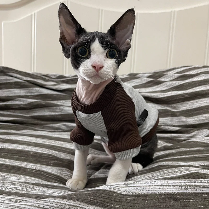 Devon Rex Apparel German Curly Hairless Cat Kitten Outfits Cotton Sphynx Clothes Autumn Pet Clothes Sphinx Cat Costume
Devon Rex Apparel German Curly Hairless Cat Kitten Outfits Cotton Sphynx Clothes Autumn Pet Clothes Sphinx Cat Costume