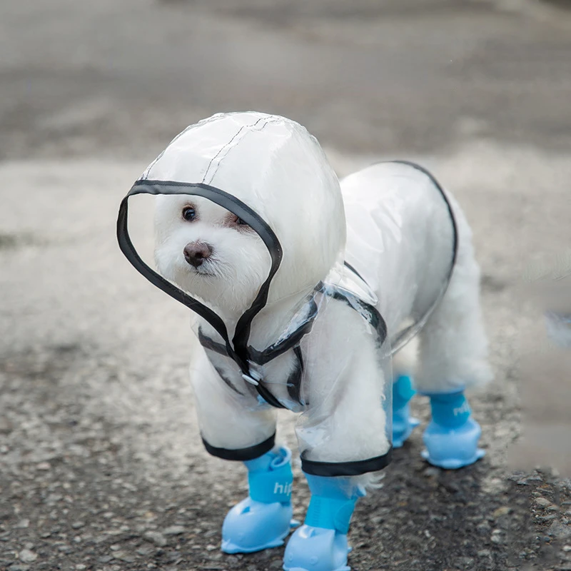 Summer Dog Raincoat Teddy Bears Small and Medium Sized Dog Transparent Raincoat for Walking Dogs on Rainy Day Waterproof Clothes
Summer Dog Raincoat Teddy Bears Small and Medium Sized Dog Transparent Raincoat for Walking Dogs on Rainy Day Waterproof Clothes