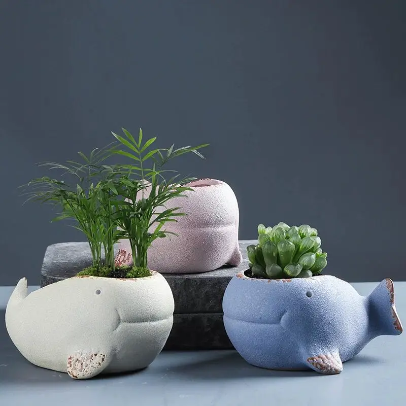 Cute Whale Cartoon Ceramics Creative And Fleshy Flowerpot Simple Medium Combined Desktop Green Plant Small Basin
Cute Whale Cartoon Ceramics Creative And Fleshy Flowerpot Simple Medium Combined Desktop Green Plant Small Basin