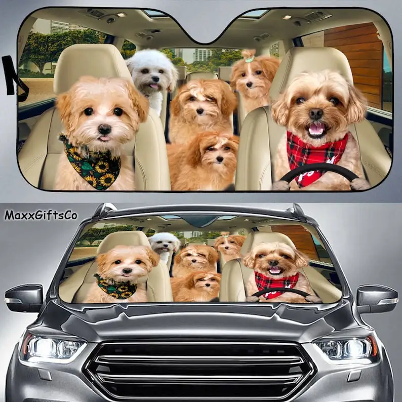 Maltipoo Car Sun Shade, Maltipoo Windshield, Dogs Family Sunshade, Dog Car Accessories, Car Decoration, Gift For Dad, Mom
Maltipoo Car Sun Shade, Maltipoo Windshield, Dogs Family Sunshade, Dog Car Accessories, Car Decoration, Gift For Dad, Mom