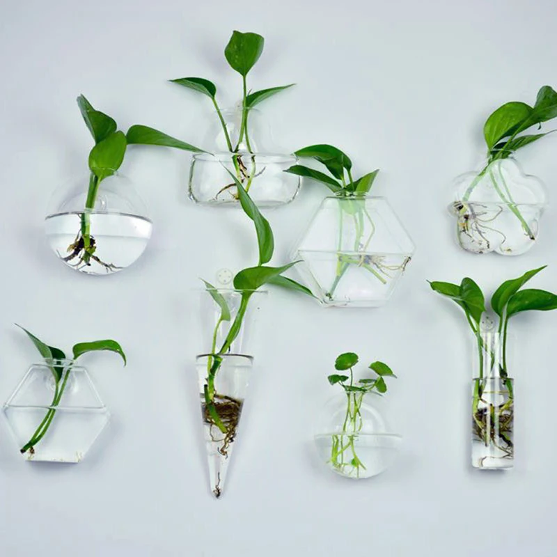 High Borosilicate Glass Plants Holder Hanging Glass Vase Glass Terrarium Vase for Hydroponics Garden 8 Styles
High Borosilicate Glass Plants Holder Hanging Glass Vase Glass Terrarium Vase for Hydroponics Garden 8 Styles