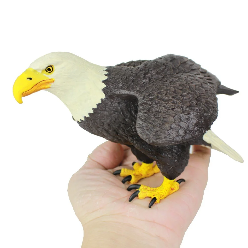 Eagle white head sea eagle White Eagle Plastic Solid static children's toy presents
Eagle white head sea eagle White Eagle Plastic Solid static children's toy presents