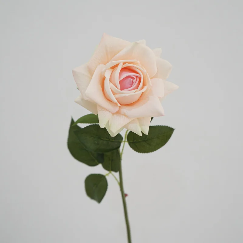 Living Room Decoration Artificial Austin Rose Flower Feel Moisturizing Single Outdoor Props Birthday Fake Bouquet Home Supply
Living Room Decoration Artificial Austin Rose Flower Feel Moisturizing Single Outdoor Props Birthday Fake Bouquet Home Supply