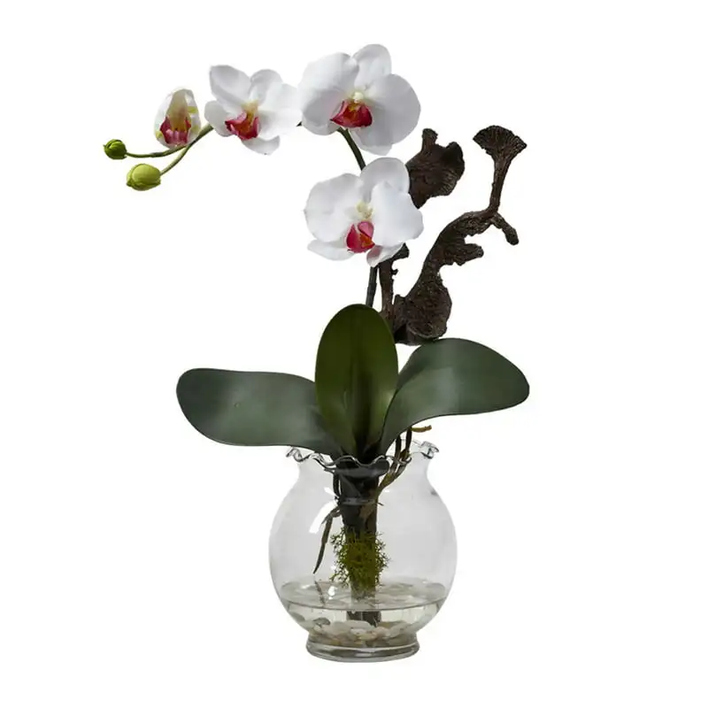 "Stunning White and Purple Phalaenopsis Artificial Flower Arrangement in Fluted Vase - Perfect for Home Decorating!"
"Stunning White and Purple Phalaenopsis Artificial Flower Arrangement in Fluted Vase - Perfect for Home Decorating!"