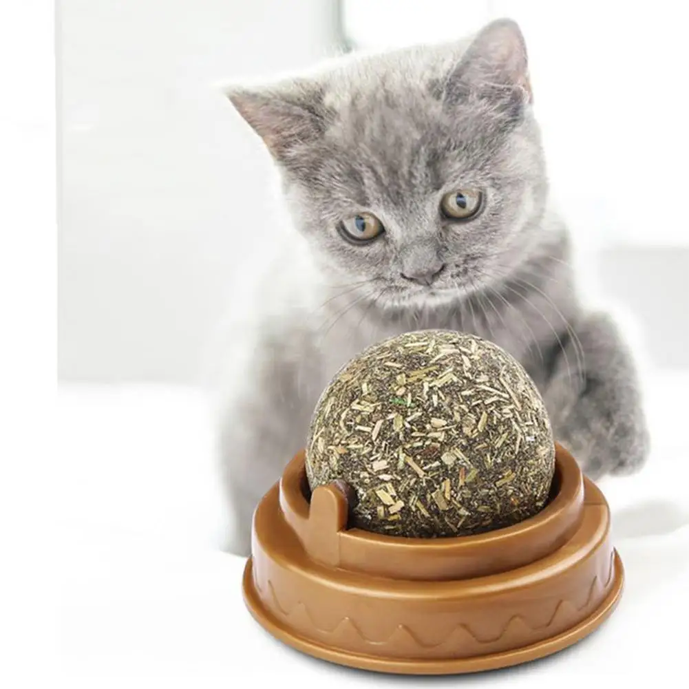 Rotating Natural Catnip Ball Molars Cleans Teeth Bites Catnip Balls Healthy Promote Digestion Cat Grass Snack Pet Supplies
Rotating Natural Catnip Ball Molars Cleans Teeth Bites Catnip Balls Healthy Promote Digestion Cat Grass Snack Pet Supplies