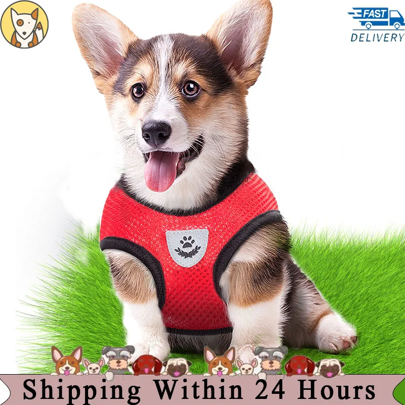 Bulldog Harness For French Harness And Leash Nylon Mesh Cat Breathable Kitten Cats Harnesses Small Chihuahua Pug Dog Accessories
Bulldog Harness For French Harness And Leash Nylon Mesh Cat Breathable Kitten Cats Harnesses Small Chihuahua Pug Dog Accessories